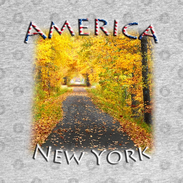 America - New York State fall colours by TouristMerch